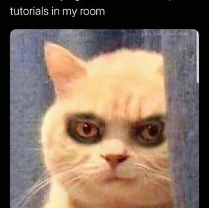 Meet your Posher, North